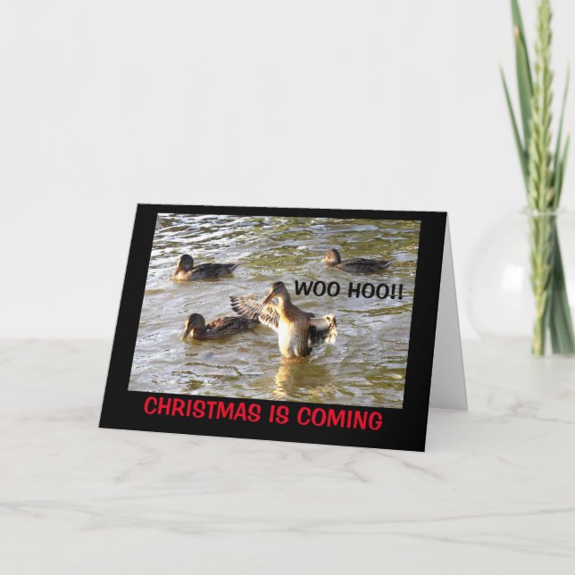 Time To Duck The Halls! Christmas Humour Holiday Card (Front)