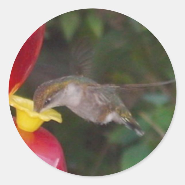 Time to Eat Classic Round Sticker (Front)