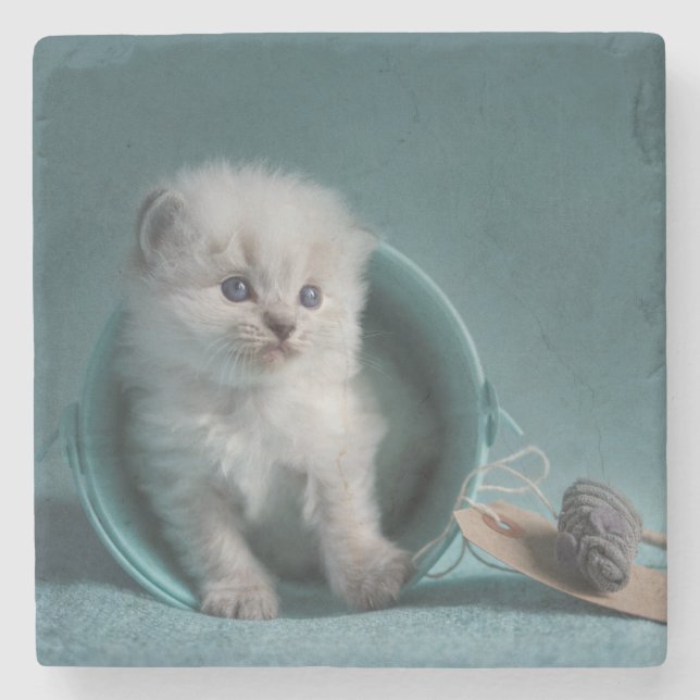 Time to play stone coaster (Front)