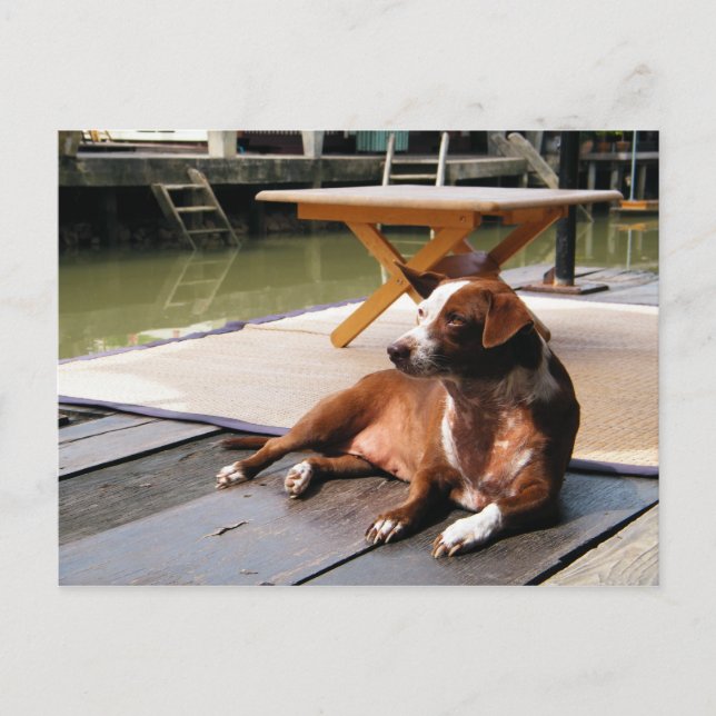 Time To Relax At Amphawa Postcard (Front)
