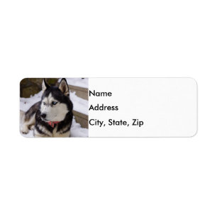 Time To Rest Return Address Label