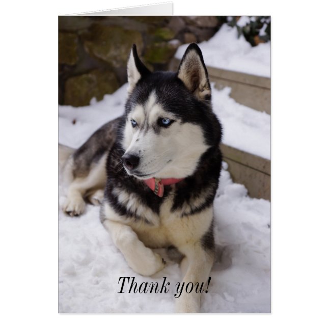 Time To Rest Thank You Card (Front)