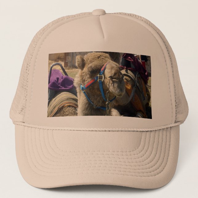 Time To Ride Camels, Truckers Hat (Front)