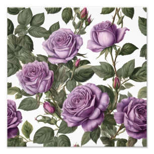 "Timeless Beauty: Purple Provincial Vintage Roses" Photo Print