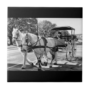 Timeless Journey Ceramic Tile