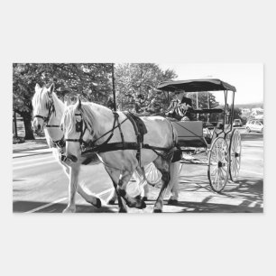 Timeless Journey Rectangular Sticker