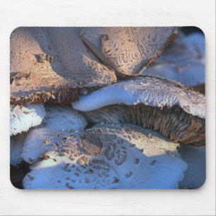 Timeless Magnolia Mouse Pad