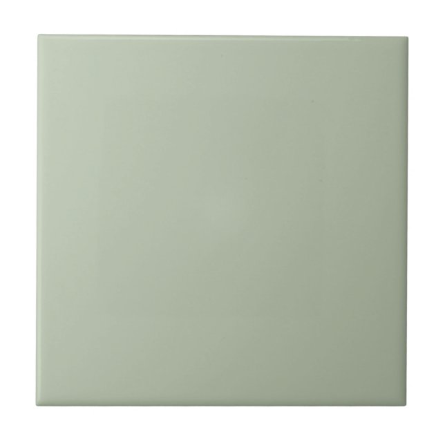 Timeless - Misty Sage Ceramic Tile (Front)