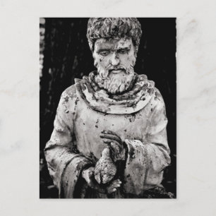 Timeless Monk Postcard