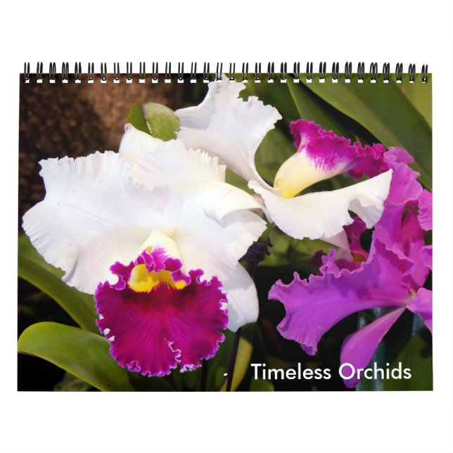 Timeless Orchids Calendar (Cover)