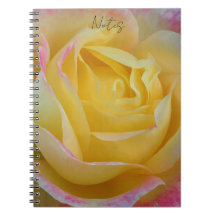 timeless rose notebook