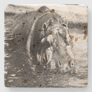 **"Timeless Strength: Grainy Black and White Hippo Stone Coaster