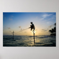 Timeless Tradition: Sri Lanka Stilt Fisherman