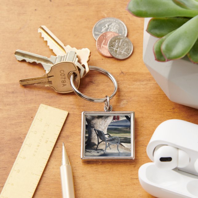 timelessimaging logo on keychain.  key ring (Desk)