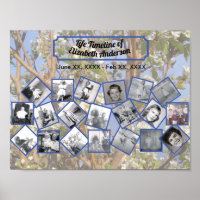 Timeline Photo Collage on White Blossom Tree