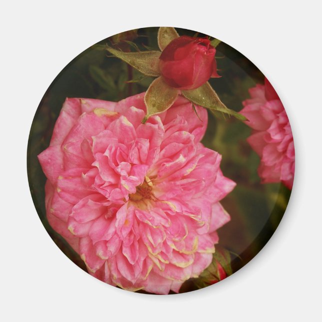 Times Past Magnet (Front)