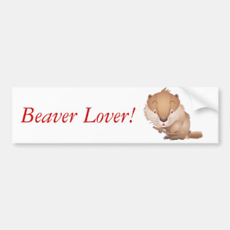 Timid Beaver Bumper Sticker