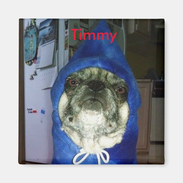 Timmy Hoodie Magnet (Front)