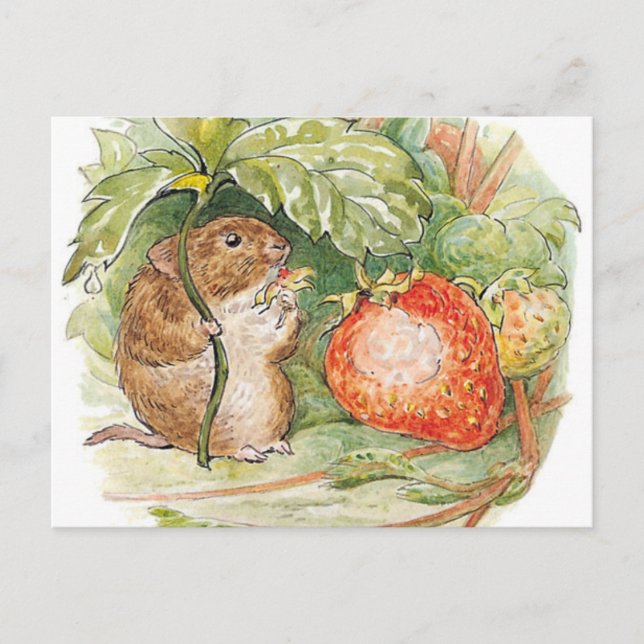 Timmy Willie Mouse - Beatrix Potter Postcard (Front)