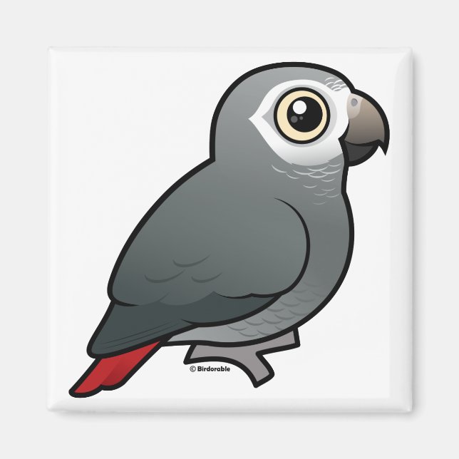 Timneh African Grey Parrot Magnet (Front)