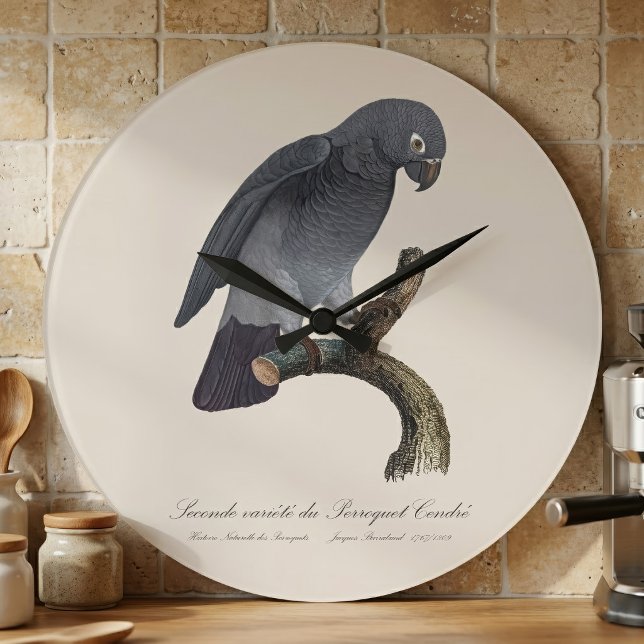 Timneh African Grey Parrot, Psittacus Timneh Large Clock (Timneh African Grey Parrot, Psittacus Timneh. Large Clock )