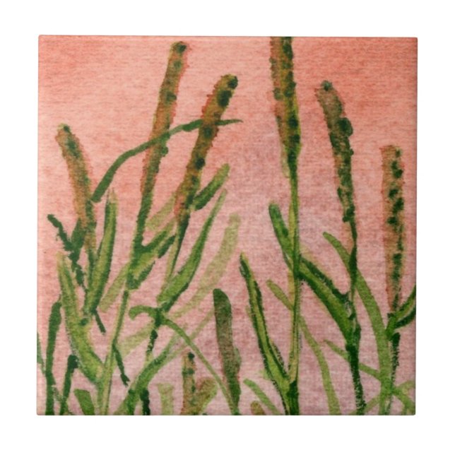 Timothy grass hay close up ceramic tile. ceramic tile (Front)