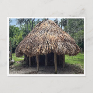 TIMUCUAN village hut Postcard