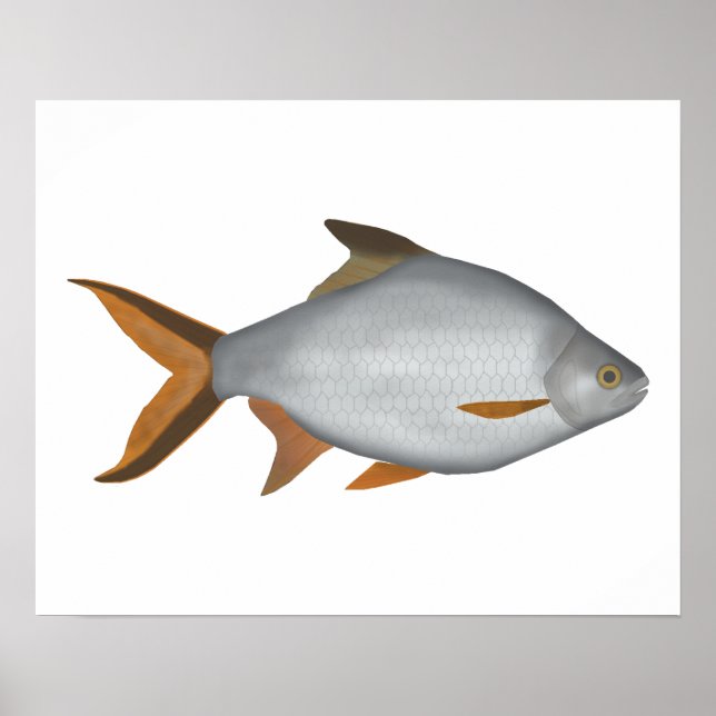 Tinfoil Barb Poster (Front)