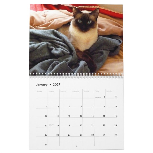 Ting Ting the Siamese Cat Calendar (Jan 2027)