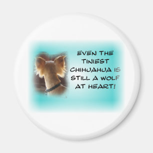 Tiniest Chihuahua... Magnet