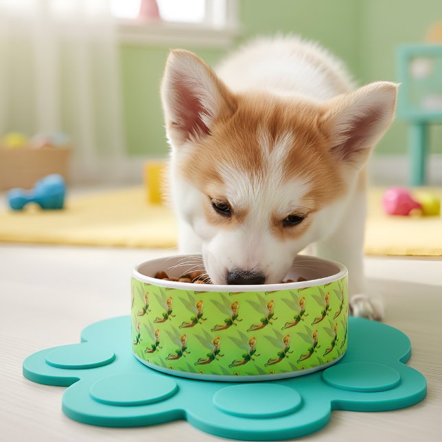 Tinker Bell Bowl (Creator Uploaded)