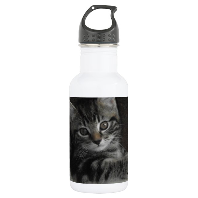 Tinker Kitten 532 Ml Water Bottle (Front)