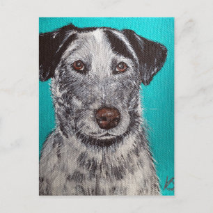 Tinker  Painting - Heeler Mix Postcard