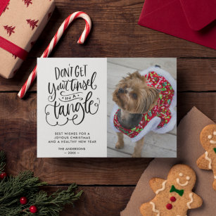 Tinsel in a Tangle Funny Dog Pet Photo Christmas  Holiday Card