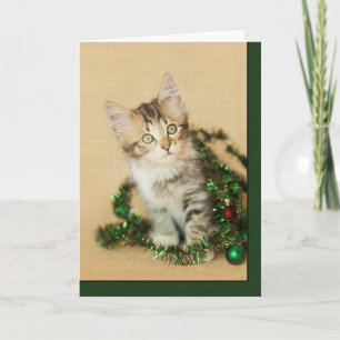 Tinsel Kitten Holiday Card