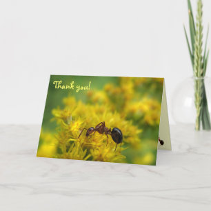 Tiny Ant on Goldenrod Thank You Card