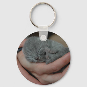 Tiny Baby Blue Kitten Key Ring