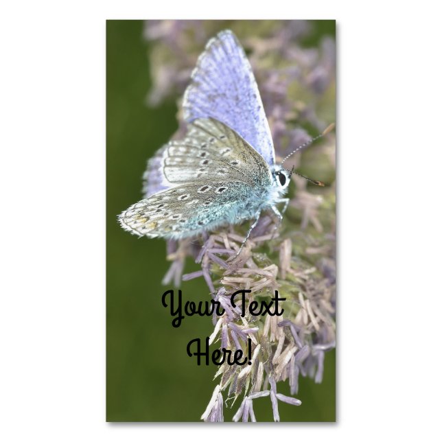 Tiny Beauty Magnetic Business Card (Front Vertical)