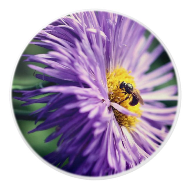 Tiny Bee On Purple Daisy Flower Close Up  Ceramic Knob (Front)