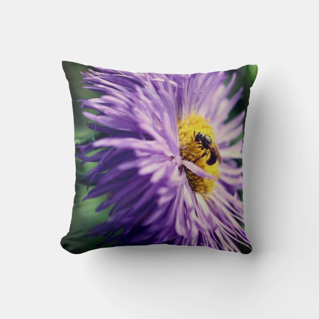 Tiny Bee On Purple Daisy Flower Close Up  Cushion (Front)