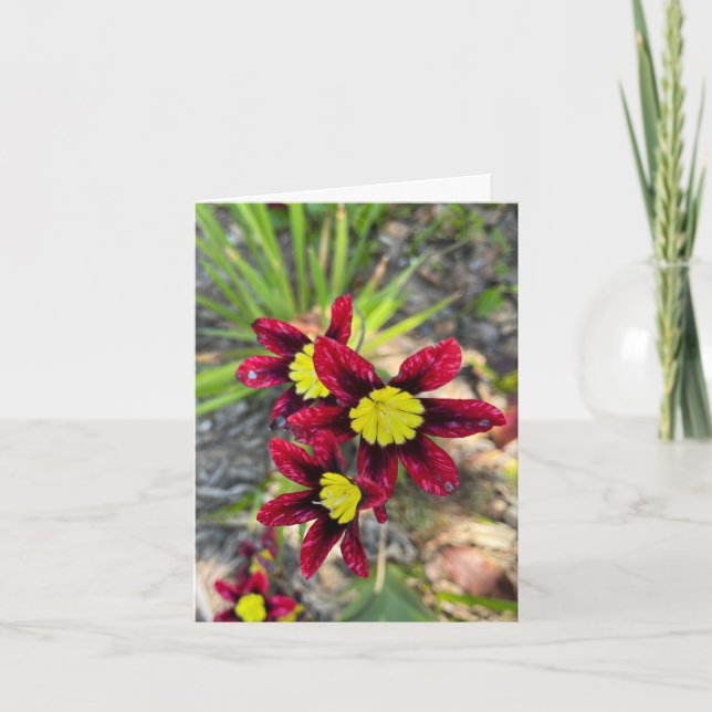 Tiny Blooms Thank You Card (Front)