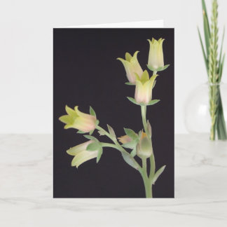 Tiny blossoms during Lent Card