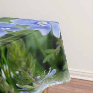 tiny blue flowers tablecloth
