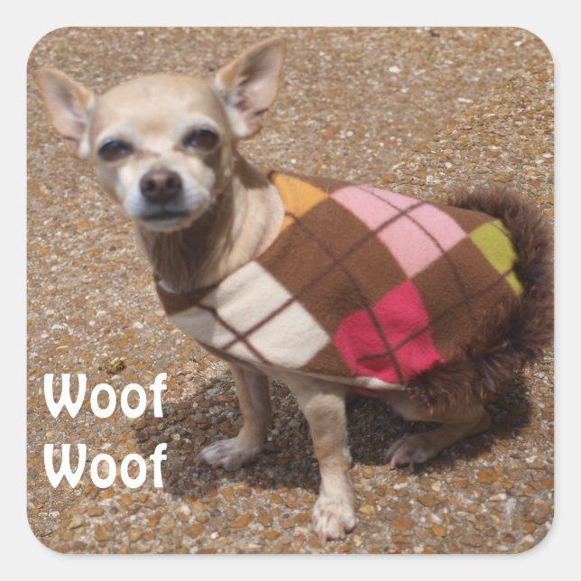 Tiny Chihuahua Says Woof Woof Square Sticker (Front)