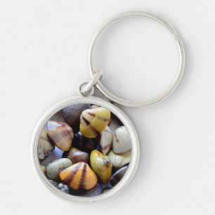 Tiny Colourful Clam Shells Key Ring