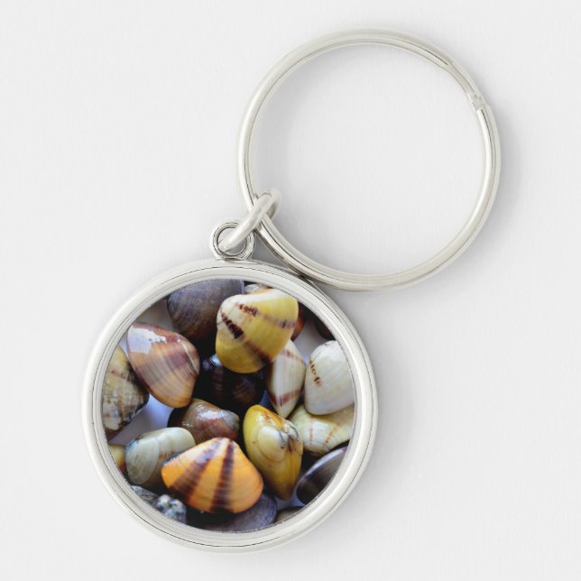 Tiny Colourful Clam Shells Key Ring (Front)