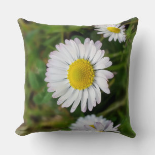 Tiny daisies cushion