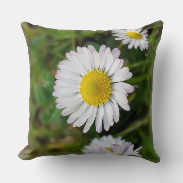 Tiny daisies cushion (Front)