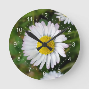 Tiny daisies round clock
