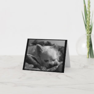 Tiny Dreamer - Blank Note Card